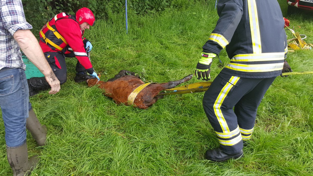 Tom Brolan tweet media