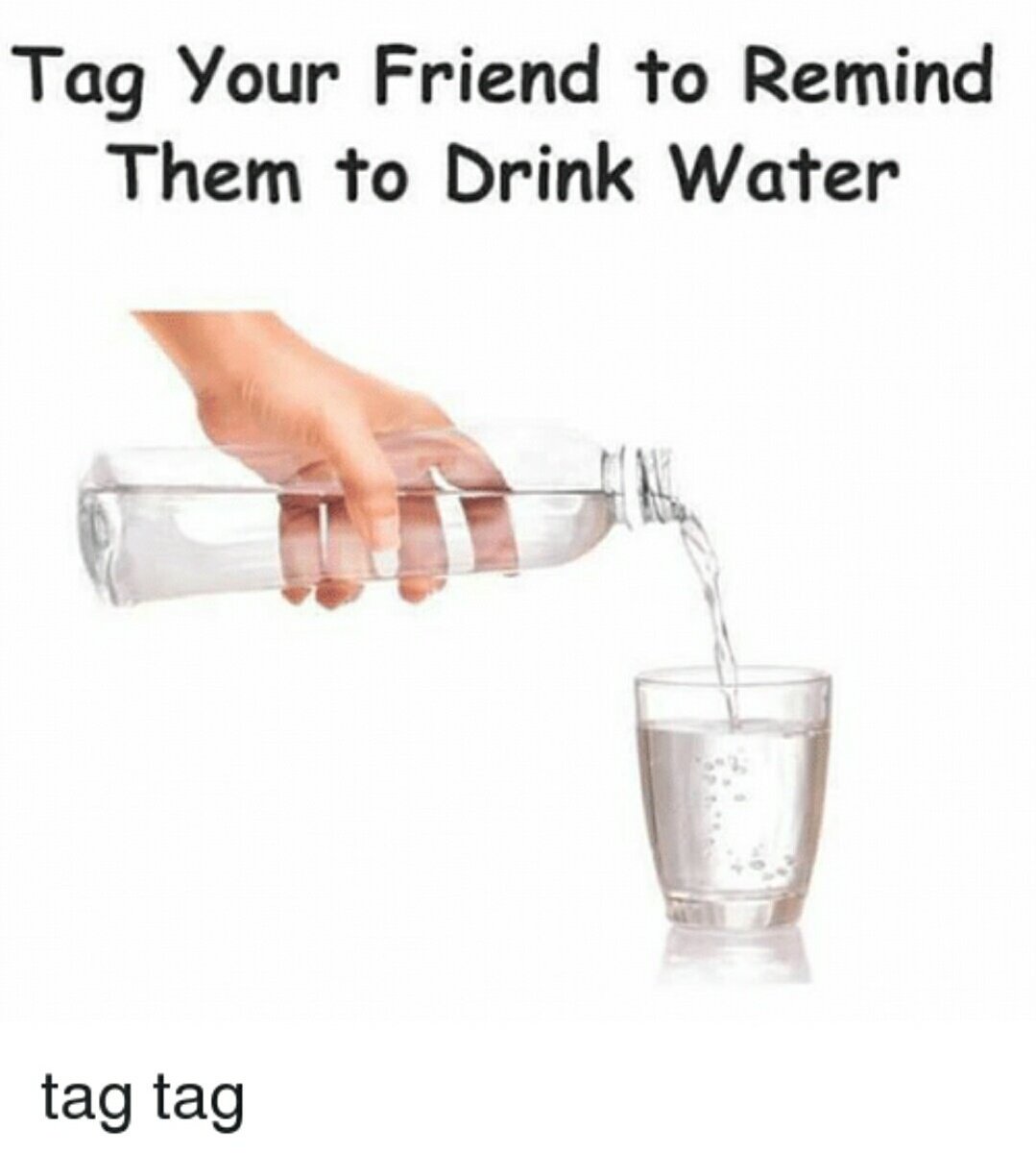 fangofHatari's tweet image. @wingofHatari