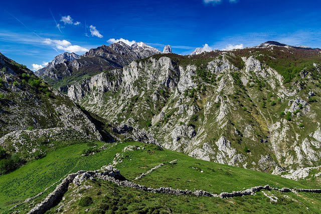 TurismoAsturias's tweet photo. ¡Wow! Aquí madura el mejor queso azul del mundo @pepeteyedu vía @LesFartures https://t.co/GW6Dj1vK9K #SaboreaAsturias https://t.co/5sJwPBXUfN