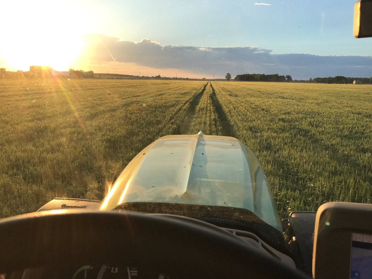 BetterFields's tweet photo. Beautiful morning to get the wheat sprayed! https://t.co/vLA5Hpkw5a