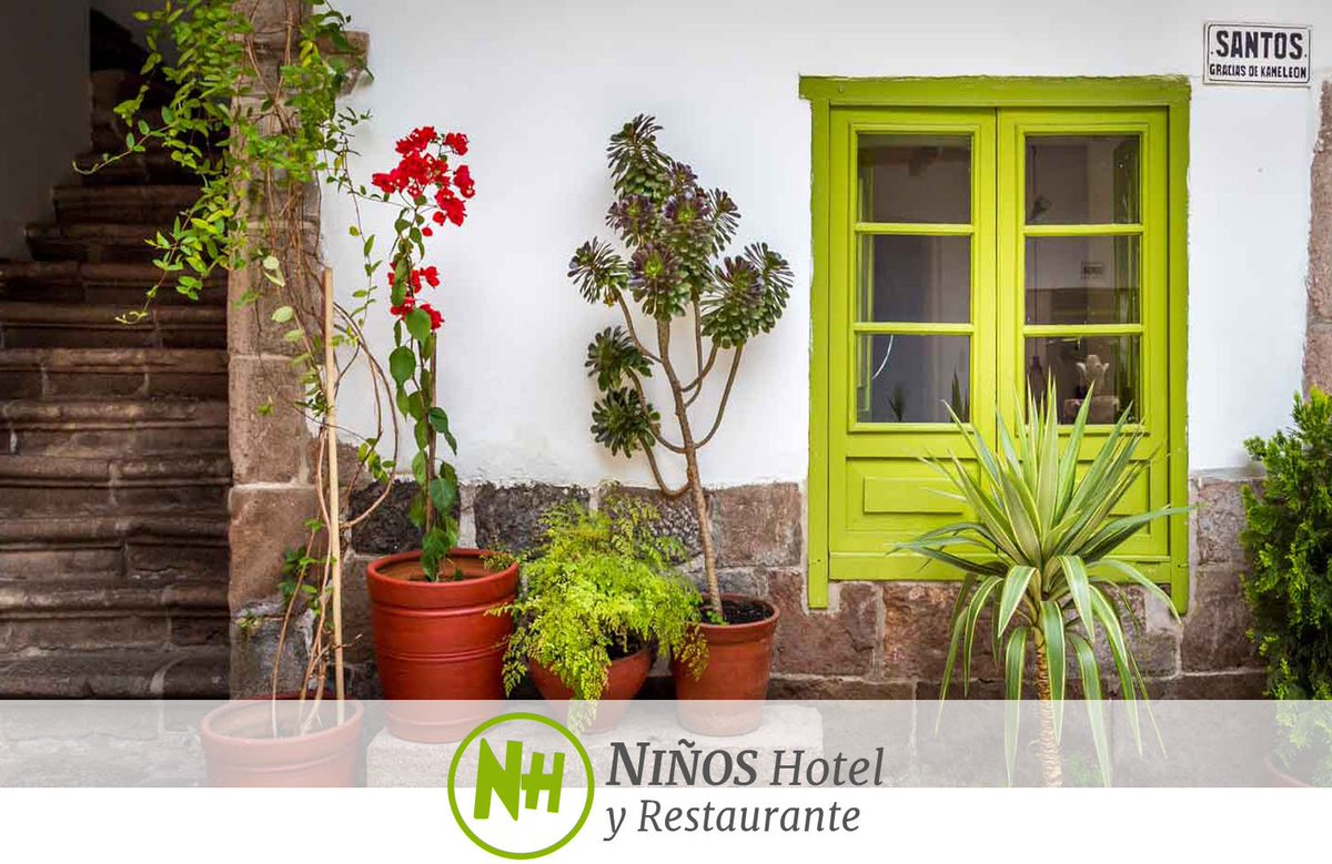 NinosHotel's tweet photo. visite nuestra pagina web: https://t.co/cTLp8aFNnF
alojarse en nuestro hotel contribuye a la Fundacion Niños Peruanos Unidos
#viajesolidario https://t.co/OQusBPROoO