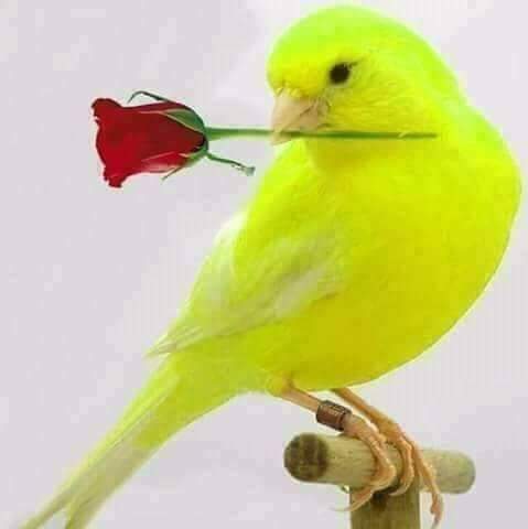 nnakweignatius1's tweet photo. https://t.co/Lj92U3qKFG