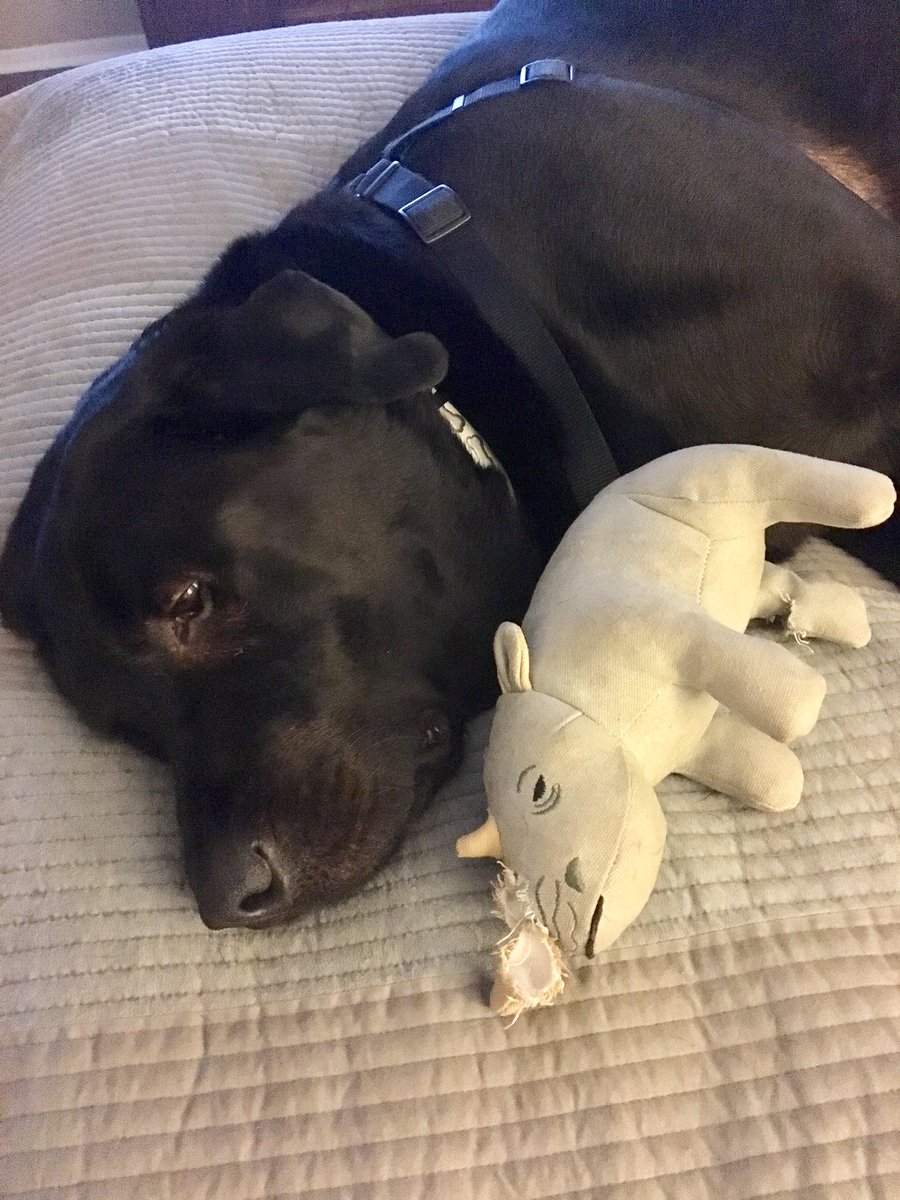 Buddies