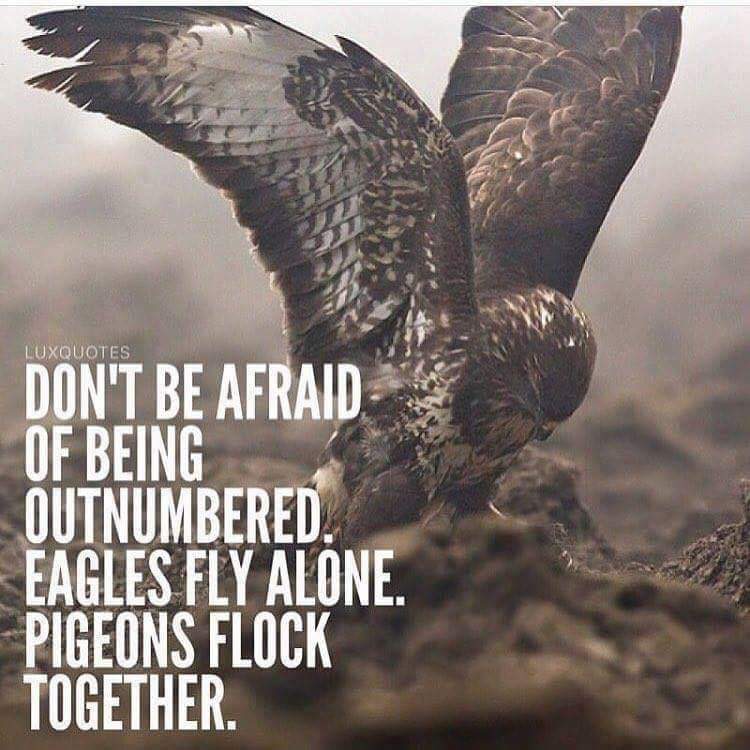 shinyenergyheal's tweet image. 