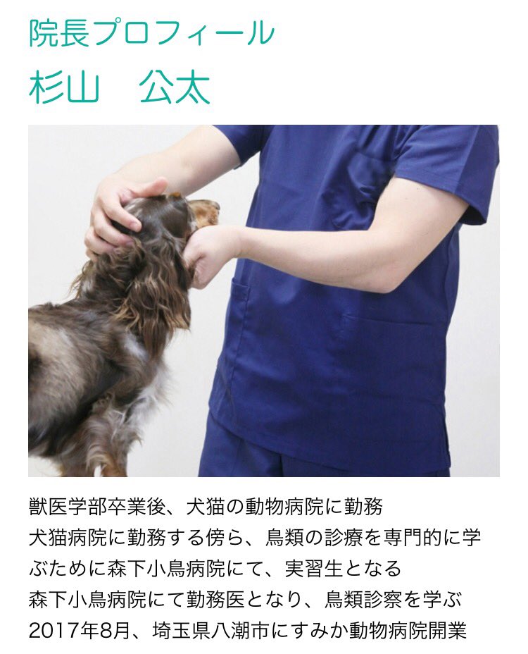 すみか 動物 病院