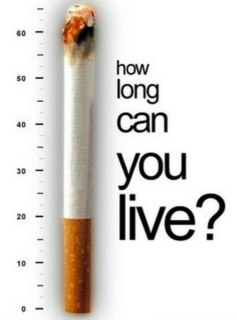 WORLD NO TOBACCO DAY - 31 MAY