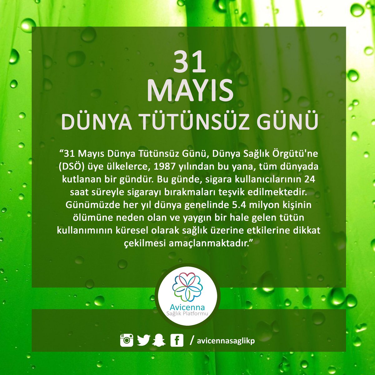 Tütün ürünlerini bırakın, rahat bir nefes alın! #31MayısDünyaTütünsüzGünü 🍃