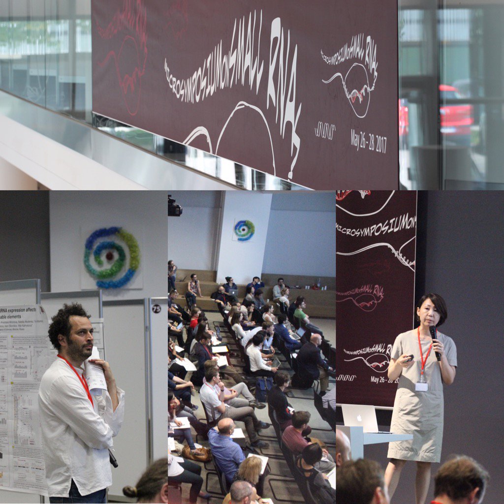 viennabiocenter's tweet photo. A snapshot of the small #RNA #microsymposium last weekend in #Vienna @research_imp #IMBA #MFPL @gmivienna https://t.co/i9fpdMkJhy