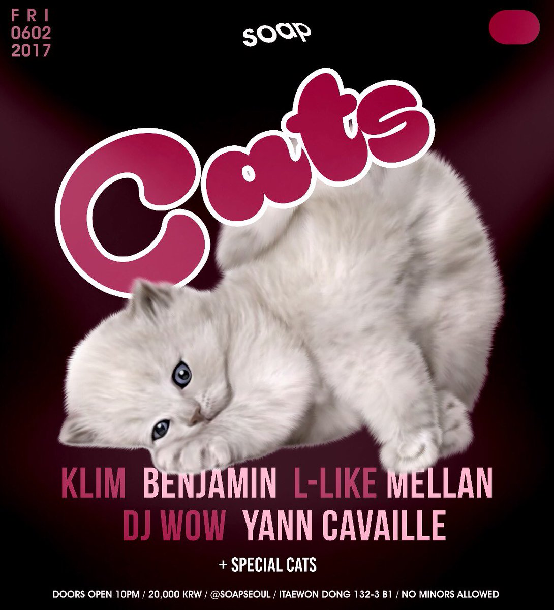 funkywow's tweet photo. 😼 #soapseoul #discoexperience https://t.co/6kVBCzuG6L
