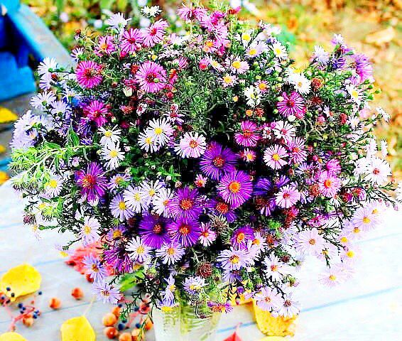 <a href="/JessLevy5/">Jess</a> <a href="/paoletti1002/">Benedetta</a> <a href="/Tolgaha20967050/">Tolgahan</a> <a href="/titi_ke/">titike63Hungary</a> @VillagrasaElena <a href="/CassiaGomesJC/">🌻 Cássia Gomes 🌻</a> <a href="/DrykaAlvez/">🌷🌟♥️Drica Morena♥️🌟🌷</a> @AndreaFpires750 <a href="/davidzepeda1/">David Zepeda</a> <a href="/aminaelis/">Amina_Elissa</a> <a href="/willianlevy29/">نصراوي صميم</a> @willevybrv @WLW_Switzerland <a href="/WilliamLevy/">William Levy World</a> <a href="/WLWParaguay/">WilliamLevyWorld Py® 🇵🇾 #1</a> <a href="/yosoypatry/">yosoypatryok🇦🇷</a> <a href="/melissahill440/">Melissa Hill</a> <a href="/MarijoXarabreak/">marijo de Levy</a> <a href="/WLW_PERU/">WLW_PERU</a> <a href="/DebbieMcKeon1/">Debbie McKeon</a> Buenos días mi bella amiga que dios me la bendiga