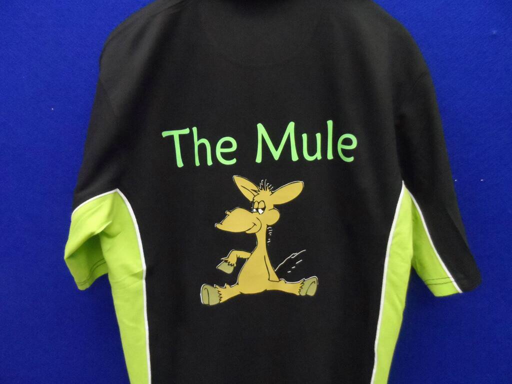 dartslegends's tweet photo. Ideal for you, your team, club or league, bespoke Darts shirt with your name, etc, checkout https://t.co/ZwymVC6mIU #darts #dartsshirts https://t.co/nFLrMbNgCJ