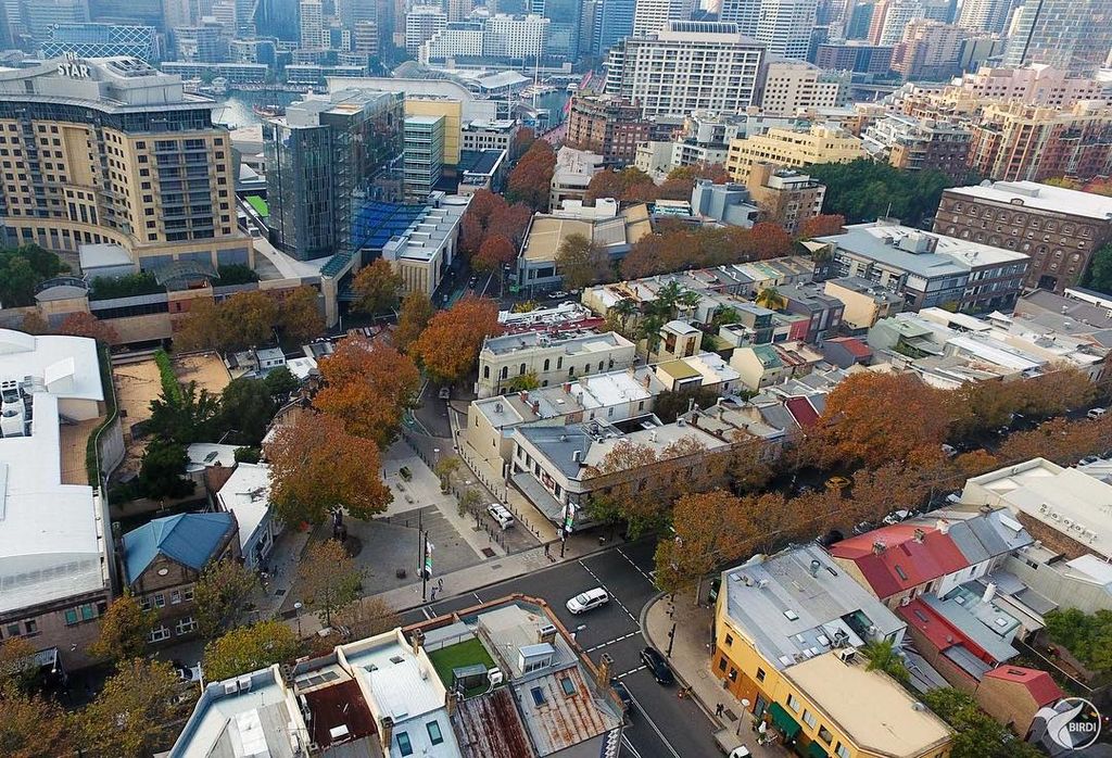 Autumn colours in Pyrmont. #📷 <a href="/fly_birdi/">BIRDI</a> 

#uptownfestival #uptownfestival2017 #ultimo #pyrmont  #sydney #drone #photography