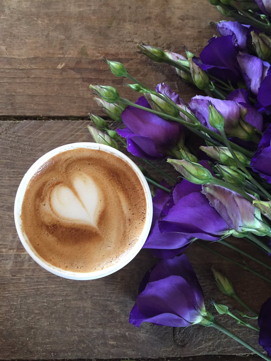 GraceFarrimond's tweet photo. Perfect way to start the day, coffee and flowers = #happyplace @EasyJoseCoffee @HartleyFarm #lovelocal https://t.co/vfoE0zkLZ1