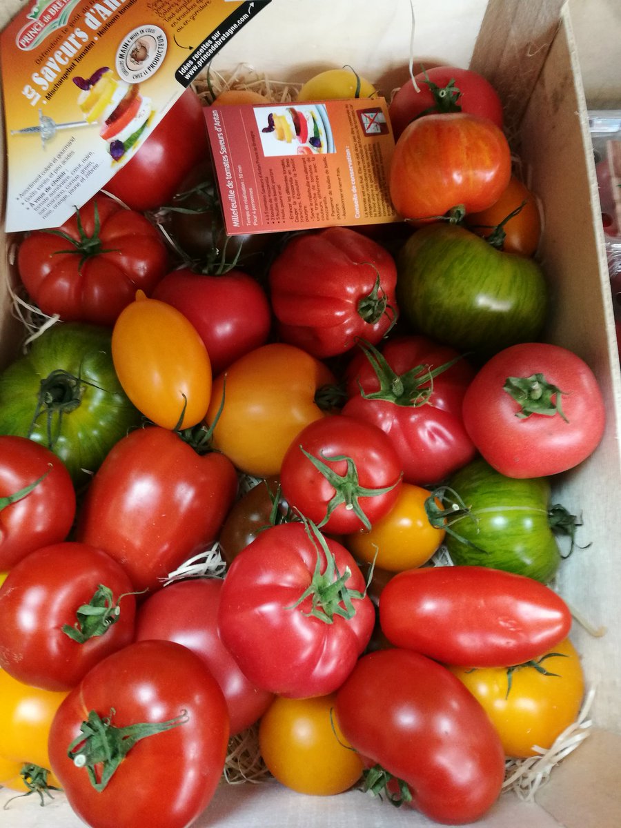 #Englishtomatoes #Blackpool #Spanishcocktailtomatoes #Heritagetomatoes #French #Brittany #sunnyday #colourfulsalad #summertimetaste