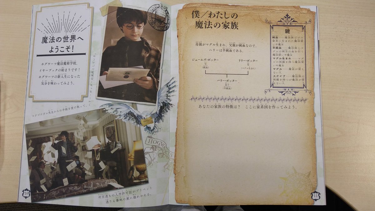 ぜいたく魔法 魔術 学校