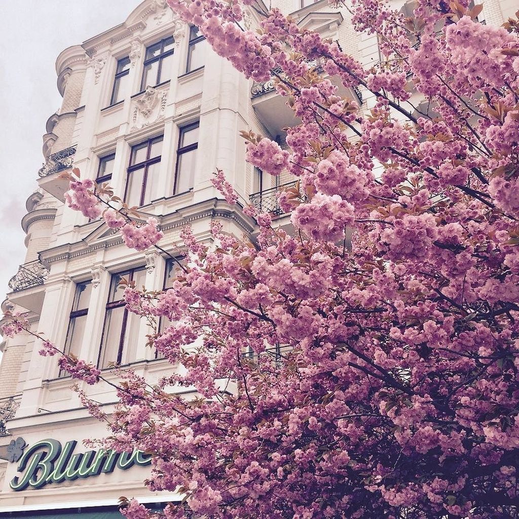 uhrwerkberlin tweet picture