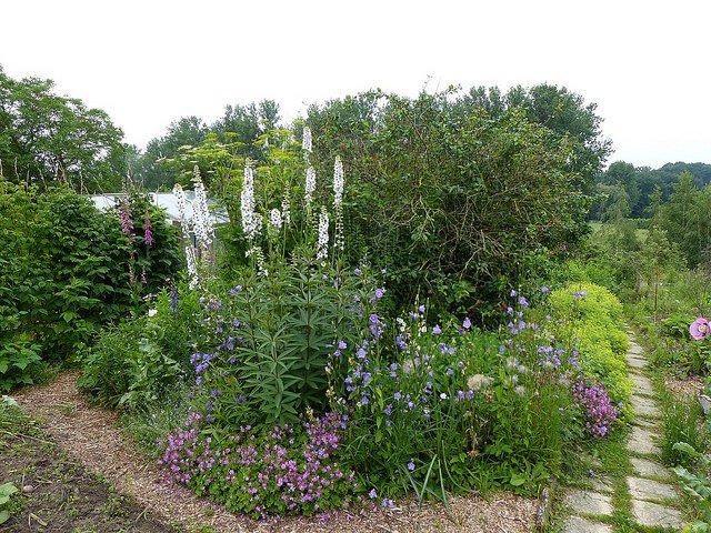 Open Garden Days – 3 &amp; 4 June 2017 dorpsstraat.wordpress.com/2017/05/31/ope…