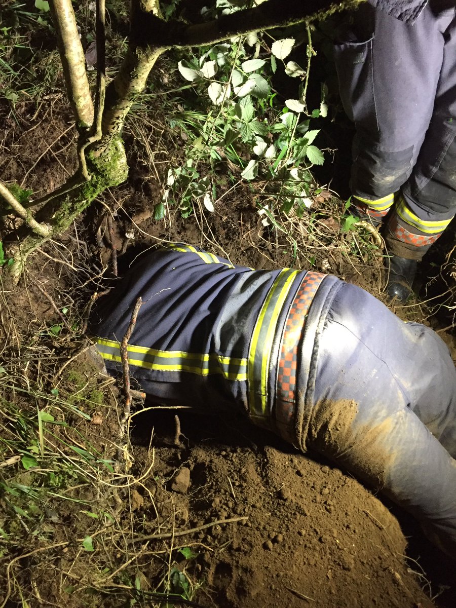 CallingtonCFRS's tweet photo. Last night - Stand by 7.4, proceed to dog rescue and to finish off make pumps 4 with 7.4 and 8.1. https://t.co/OFpACTcrTX