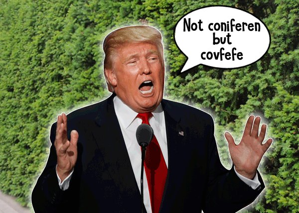 STORP's tweet image. #CovfefeGate #Covfefe