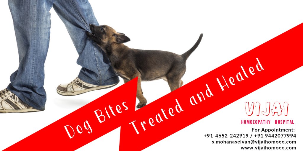 Vijai_Homoeo's tweet photo. #Dog #Bites
#Treated &amp; #Healed
https://t.co/AcXgqyZUEV 
#Mumbai #Nagercoil #Bangalore
For Appointments +919442077994 https://t.co/pMCC4yAXMv