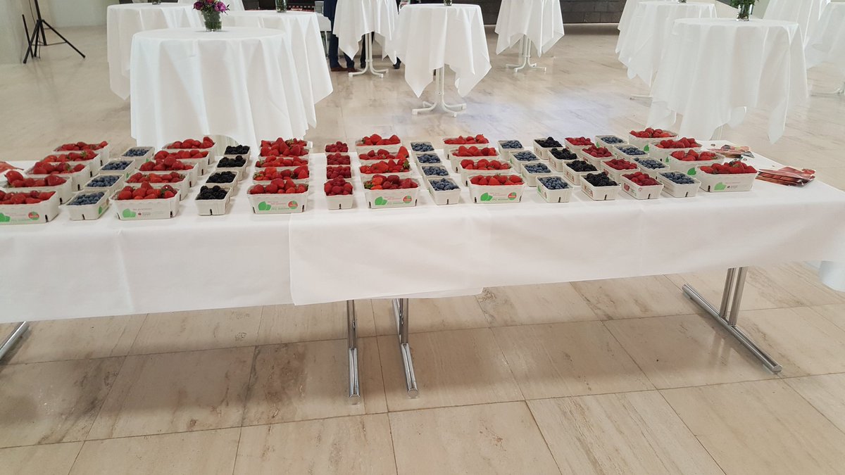 lveo_bw's tweet photo. Beerensaisoneröffnung im #Landtag #BW #regional #beeren #obst https://t.co/9d2O1FWoii