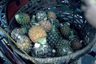 Learn a bit more about our pineapple vinegar project in Maydolong, Eastern Samar: ritualph.blogspot.com/2017/05/suppli…