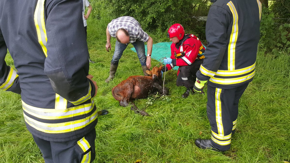 Tom Brolan tweet media