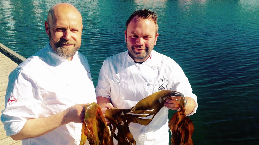 Aqua Nor Exhibition (@aquanorexhibit) on Twitter photo Visit Vestlandsstanden during #aquanor2017 if you would like to taste some exciting dishes based on seaweed: goo.gl/txz1TL Visit Vestlandsstanden during #aquanor2017 if you would like to taste some exciting dishes based on seaweed: goo.gl/txz1TL