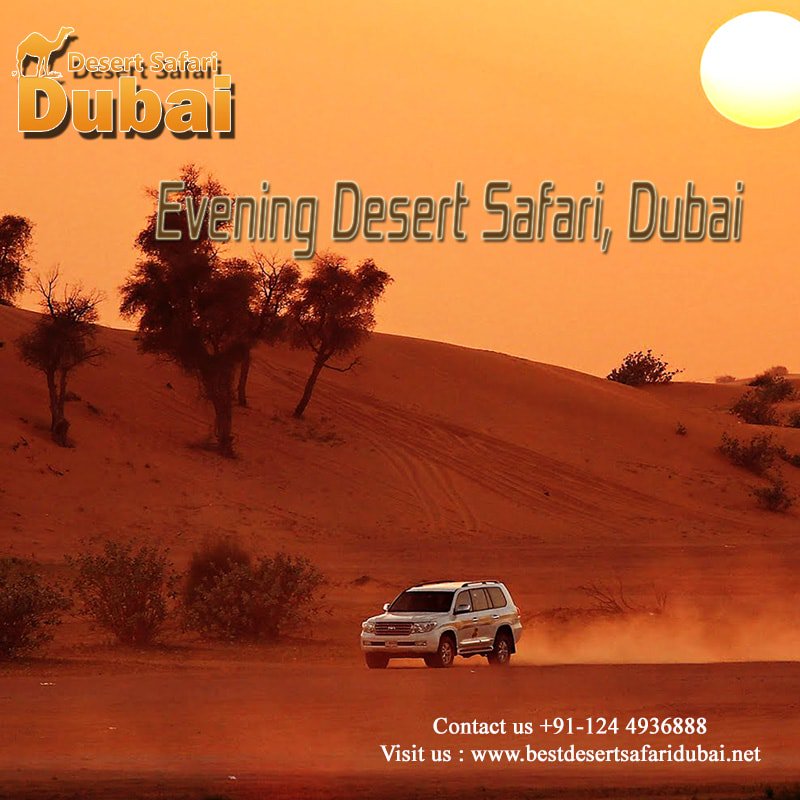 dubaisafari01's tweet photo. Book #EveningDesertSafariDubai Tour and Enjoy there Camel Ride,Golden Sunset, Belly Dance, BBQ Dinner. Read More- https://t.co/yjNfzKkkSK https://t.co/hqiaXuNafm