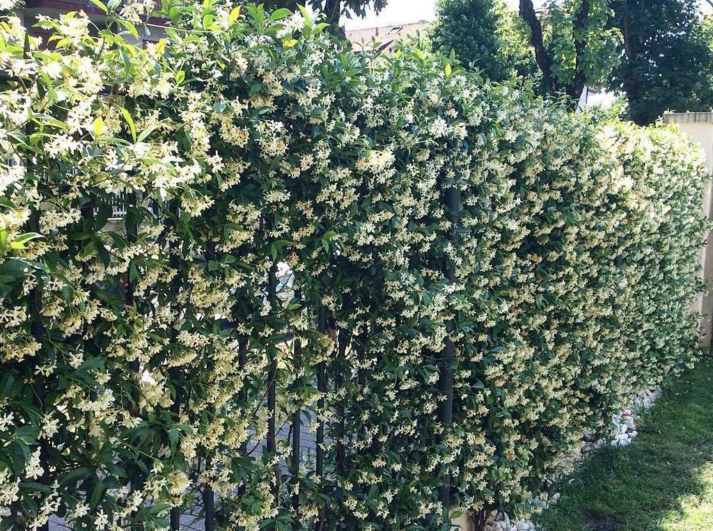 superfluonec's tweet photo. My wall inspire me .
.
.
.
.
.
#differencemakesus #jungle #floral #florallook #floraldesign #texture #textures #te… https://t.co/Eic2VSL69S https://t.co/5HvASmZPic