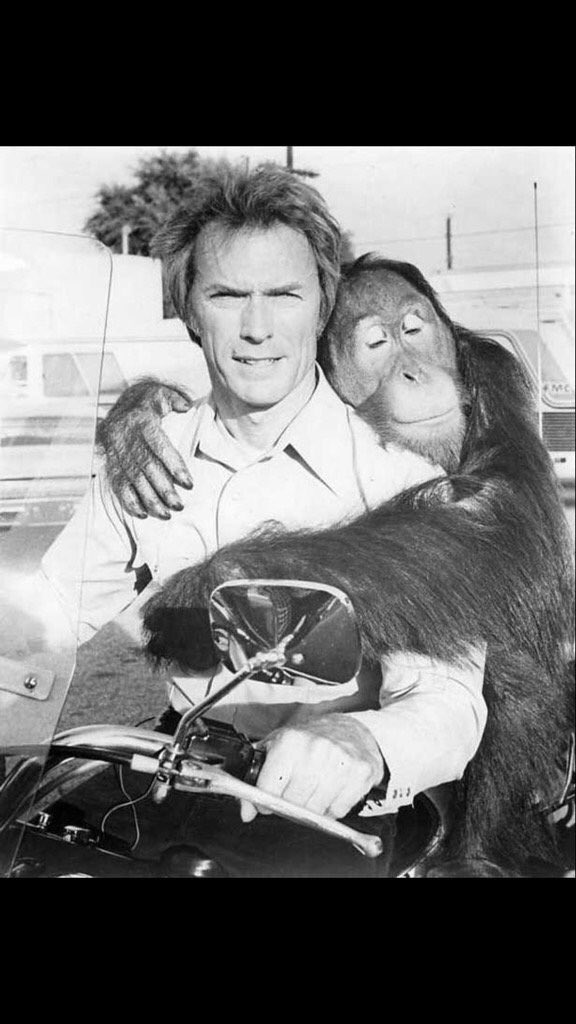 Happy 87th Birthday to the one and only Clint Eastwood! (May 31, 1930) 