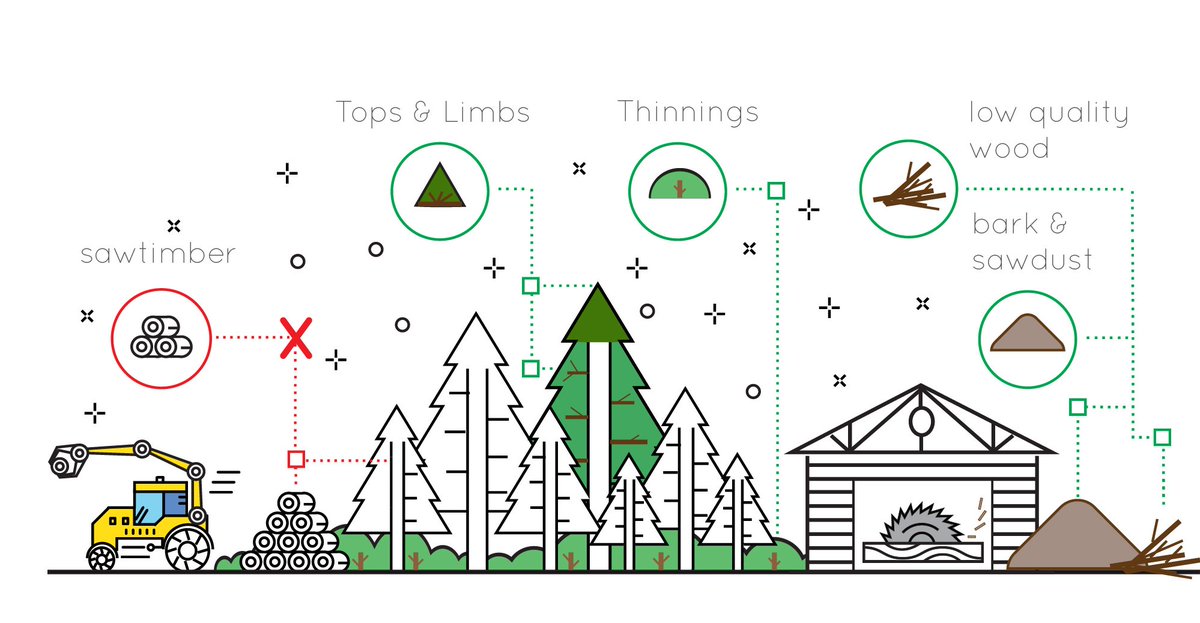 #Bioenergy doesn't use timber; in Belgium, 1 cubic meter of timber costs almost 10 times more than wood for energy! aebiom.org/factsheets