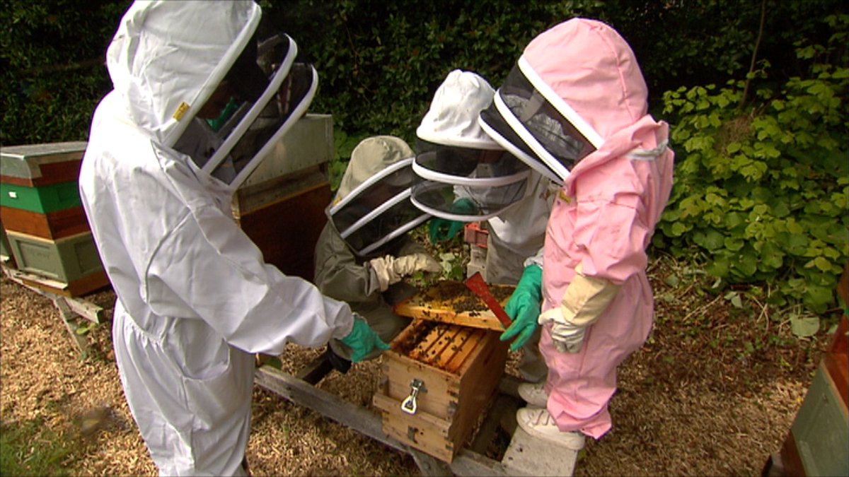 RTENationwide's tweet photo. Learn all about bees on #RTENationwide tonight as we meet Master Bee keeper at the #NationalBotanicGardens @RTEOne 7pm @rte @NatureRTE RT https://t.co/JMvykMYAtA