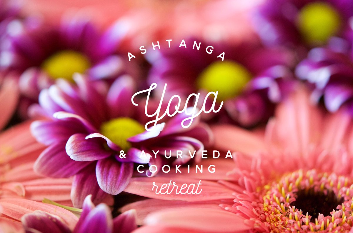 ThisSattvicLife's tweet photo. Last day of Early Bird pricing for our Ashtanga Yoga &amp; Ayurveda Cooking Retreat! Details: https://t.co/fuEwzm0qpY #ashtanga #yoga #ayurveda https://t.co/EfPN9OoWbv
