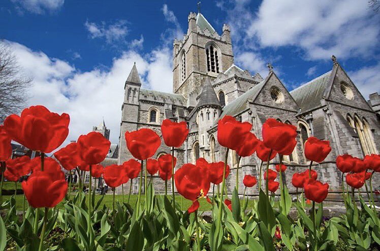 irishdaily_'s tweet photo. Do you like it?๐ Christchurch Cathedral, Dublin ๐ฎ๐ช๐โจ
.
๐ธ by IG:david.soanes๐
#red #church #carhedral #dublincity #sky #ireland #irish_daily https://t.co/XGGwWakZQU