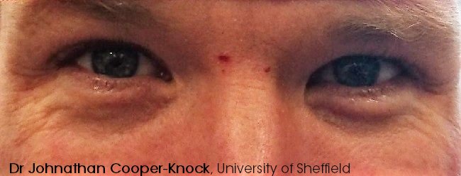 PremiumXRemark's tweet photo. Now - more than ever - we need love that is louder than hate and hope that is stronger than fear. @JohnathanCK1 #MyEyesSay https://t.co/65KofQui7a