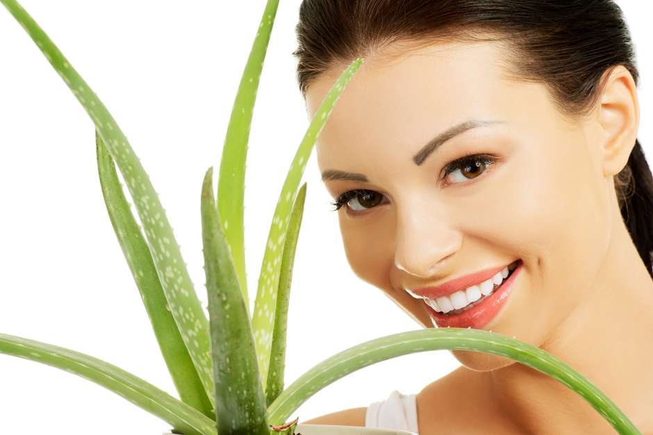 CEIO_Centros's tweet photo. Aloe vera, una nueva aliada para la salud bucal #boca #dientes y #encías
Más información https://t.co/mnjlt0oawT https://t.co/tAJ0KpIZCc