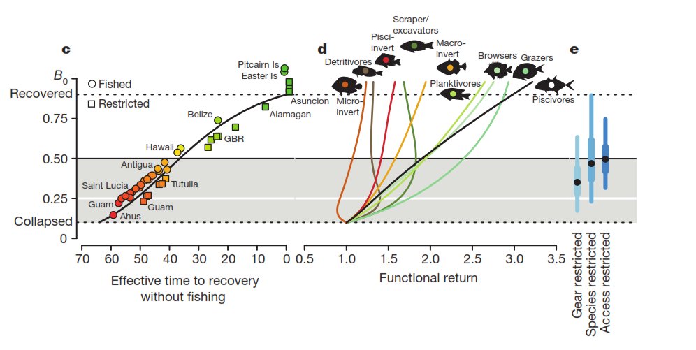 buy receptor regulation