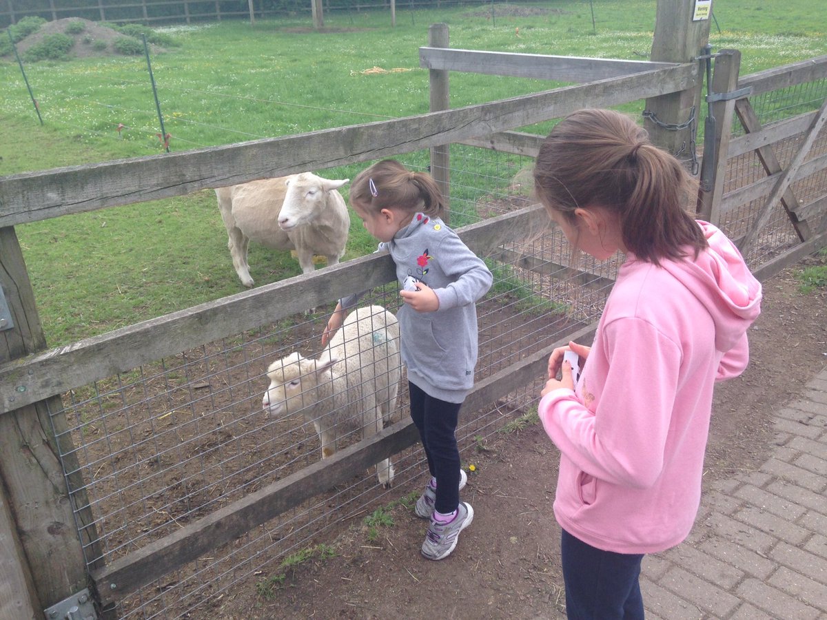 sw19dad's tweet photo. Thanks for a great morning @deencityfarm! #Halfterm adventures continue with the #WarriorPrincess farmers! https://t.co/wgcOAIPtRI