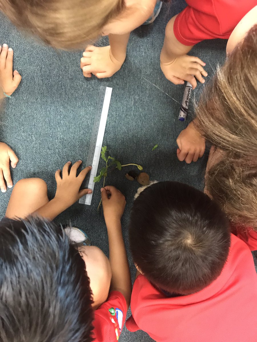 Ms_kHansen's tweet photo. How can we #prove our #wodb - Ss voice 'it's the tallest one' #measurement #embeddedmath #transdisciplinary #fractions @ibpyp #CISprimary https://t.co/yaEDUdbRD3