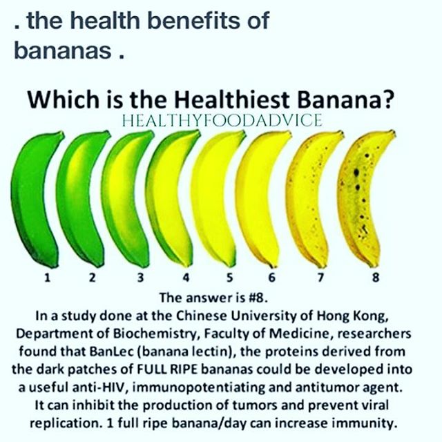 FitnessAddict tweet media