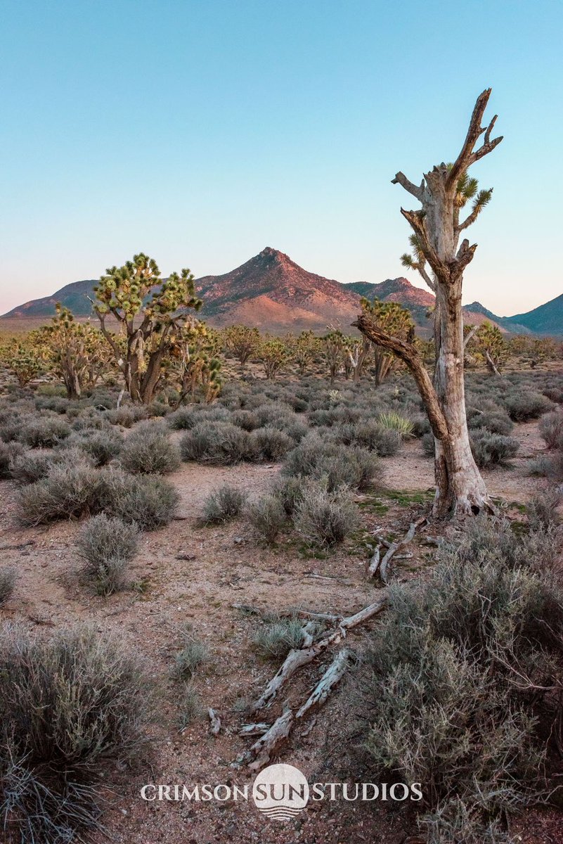 CSSPhotoMadison's tweet photo. Do your clients a favor and spice up your office space with some beautiful landscapes! https://t.co/1ZEt7p6YK4 https://t.co/IGBMGRBeow