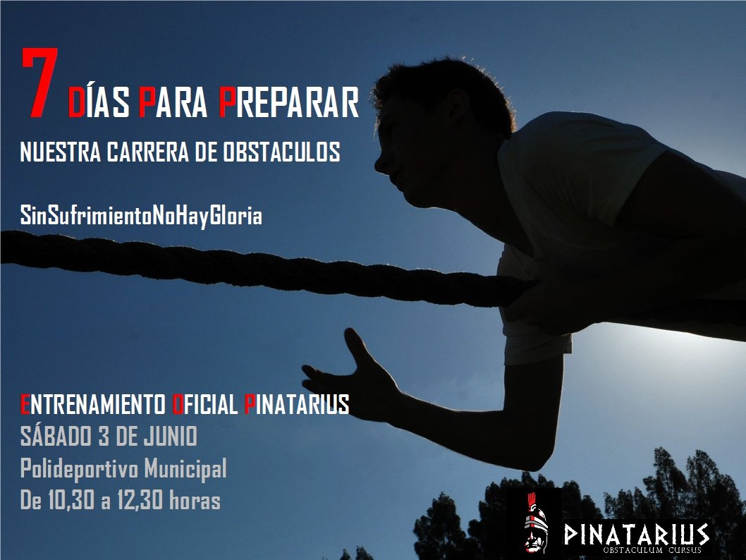 Pinatarius tweet media
