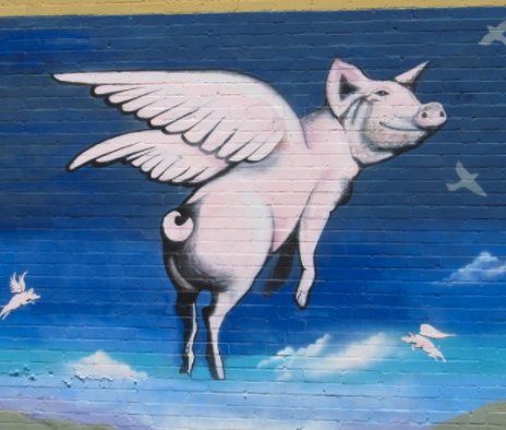 localafus's tweet photo. That’ll be the day…….
#DFW #FlyingBacon #localhang https://t.co/X47LSeZE4S