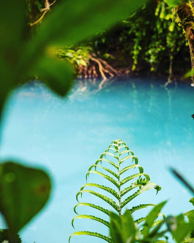 AgapeVisuals's tweet photo. #naturalbeauty in #CostaRica #puravida #rioceleste #naturehike #optoutside #agapevisuals https://t.co/jFm3xhczLP https://t.co/bPqpvmfOcj