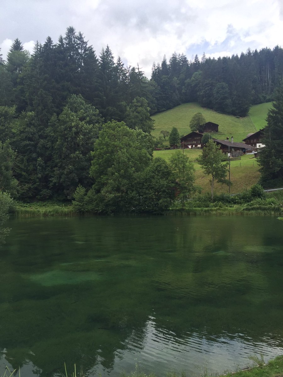 Ajwaa_Trip's tweet photo. مطعم 🐬Fischrestaurant
بحيرة ➕ سمك =استمتاع 👌😍
#Forellensee في قرية #Zweisimmen #سويسرا
N 46 33.944 E 007 22.582
ساعة ونص عن انترلاكن ❤️ https://t.co/WIDoGw7uwq