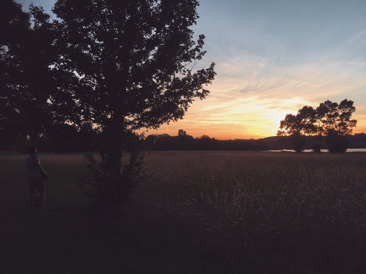 JacopoButtice's tweet photo. Into the wild 🌅 
#landscape#lyon#nature https://t.co/obRRq7AxXz