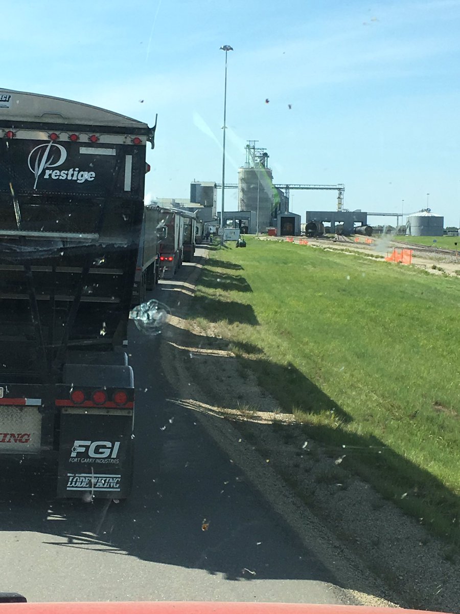 coreyprehn's tweet photo. @Cargill camrose crush plant line minimum 1.5 hr wait per load need more $$$ to haul here over competitors #inefficient#wastingtime https://t.co/oo5Z4rxOIb