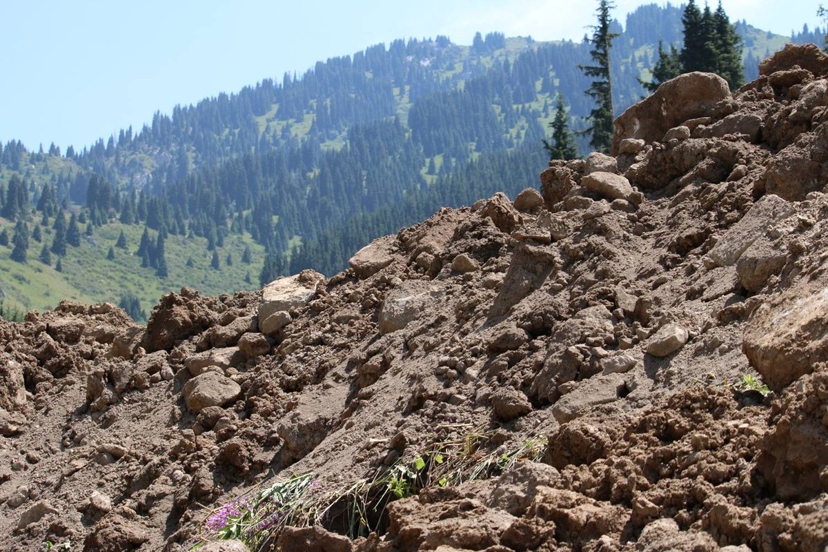 OhridSOS's tweet photo. @KazakhWorld @PedalingPics Are they still destroying one w/ #Ecosign ski-resort (company whose plan also threatens #Macedonia's NP Galicica)?
https://t.co/2Wxm9Gh6rM https://t.co/HWaII3AVDp