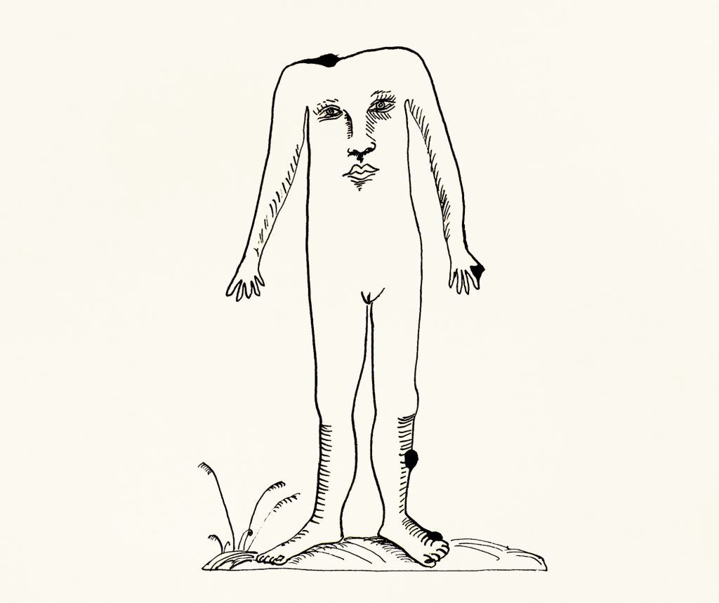 #Discover
Gastrocefalus, 2011
Diana Valarezo | Series: Bestiary of Brussels
#EmergingArtist #Drawing #MadeInBelgium
bit.ly/2rFkmES